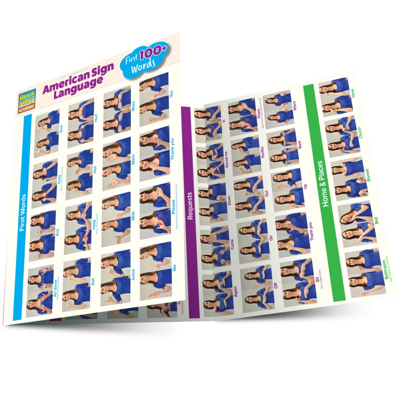ASL First 100 Words Reference Guide | High School & Adult