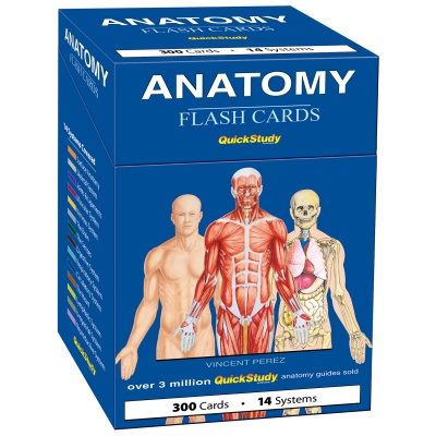 Anatomy Flash Cards 300 pack