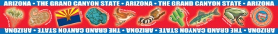 Arizona Borders for Bulletin Boards