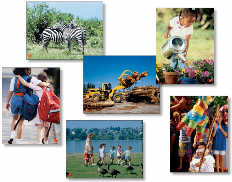 WHAT DOES IT MEAN TO BE A BEGINNER IN A LANGUAGE visual data 7