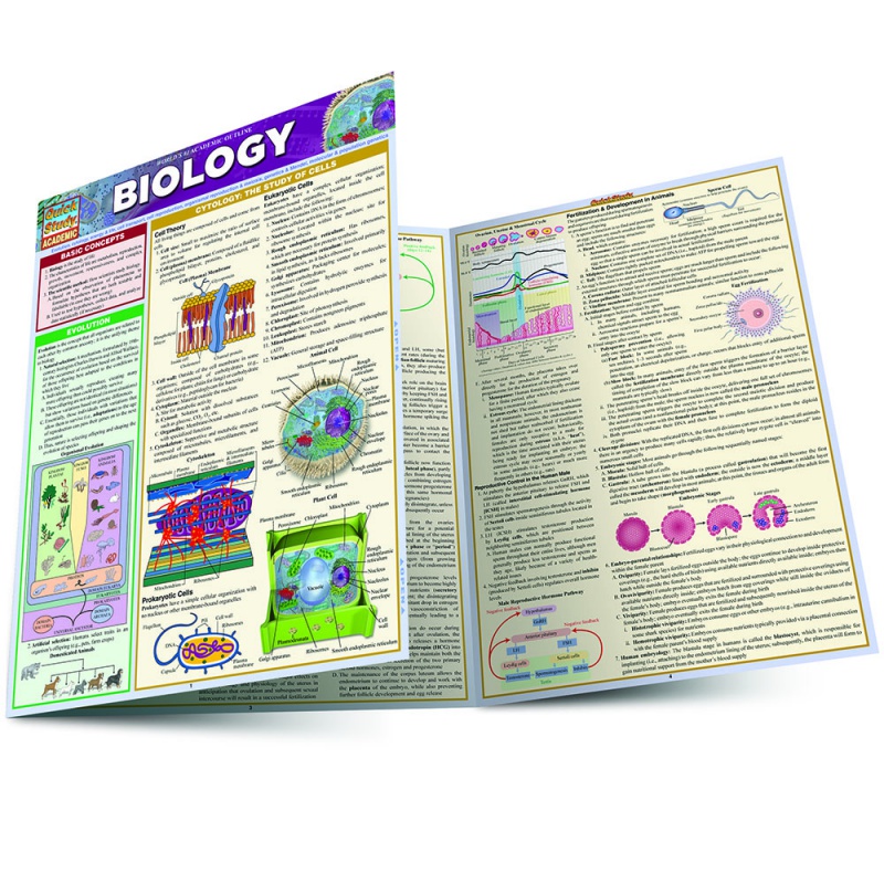 Biology Quick Study Guide | High School &amp; College Reference