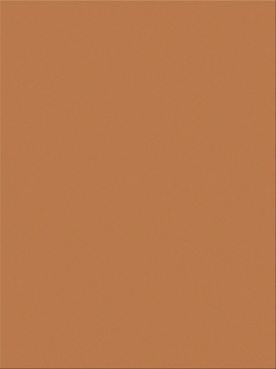 Brown 9 x 12 Construction Paper, 50 Sheet Pack