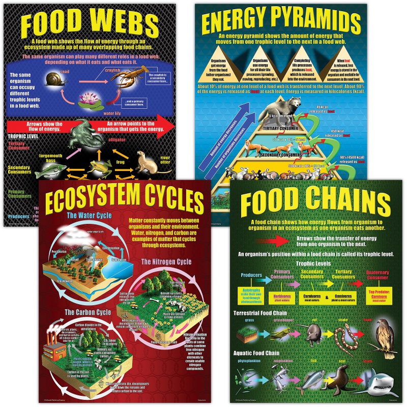 Ecosystems Teaching Poster Set | Elementary & Middle School
