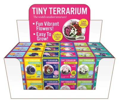 Flowering Tiny Terrariums Assorted