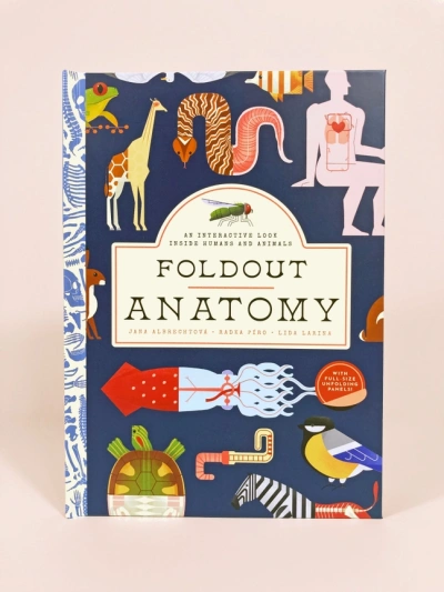 Foldout Anatomy Interactive Children's Book