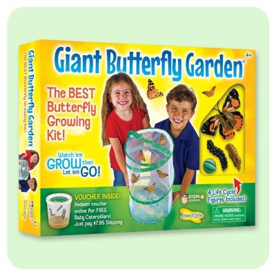Giant Butterfly Garden Kit