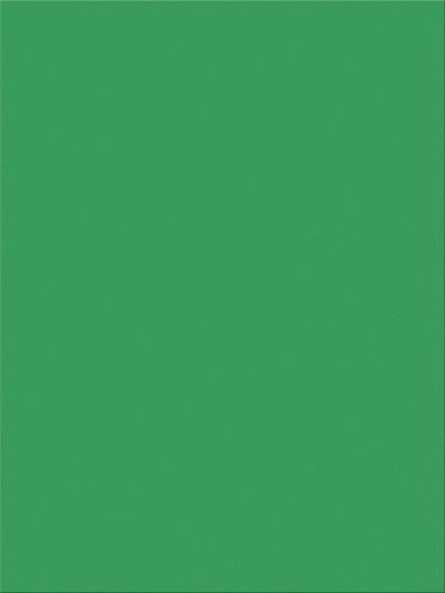 Holiday Green 9 x 12 Construction Paper, 50 Sheet Pack