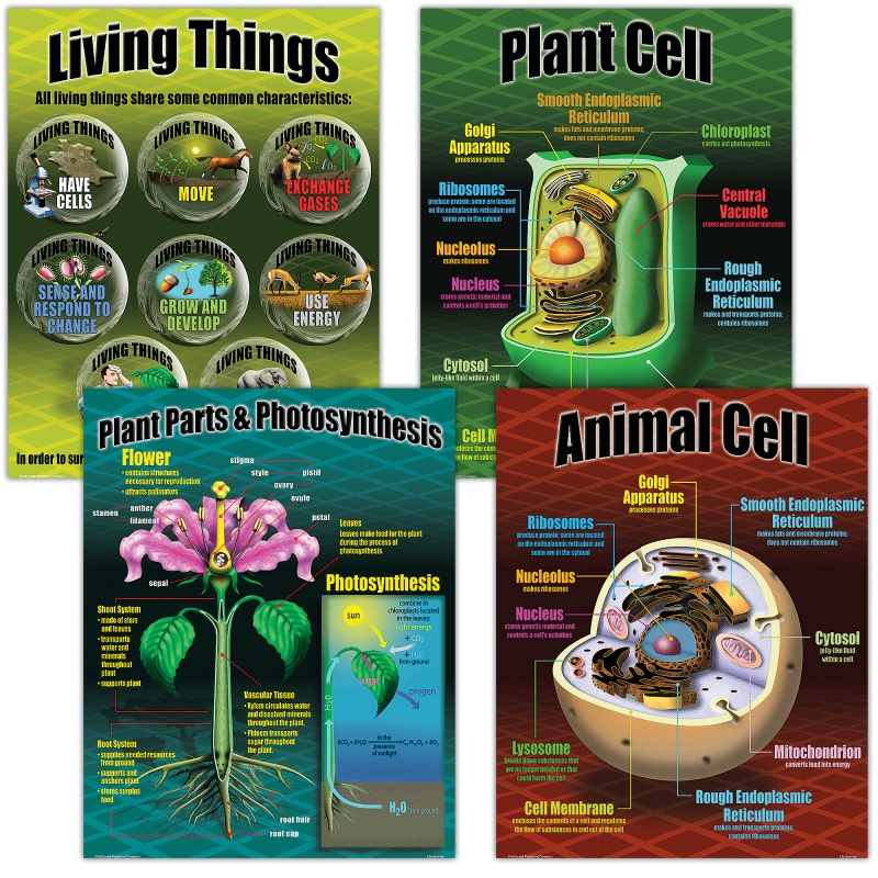 Life Science Poster Set for Biology Concepts | Grades 3-8