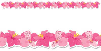 Pink Blooms EZ Border 48' – Creative Teaching Press
