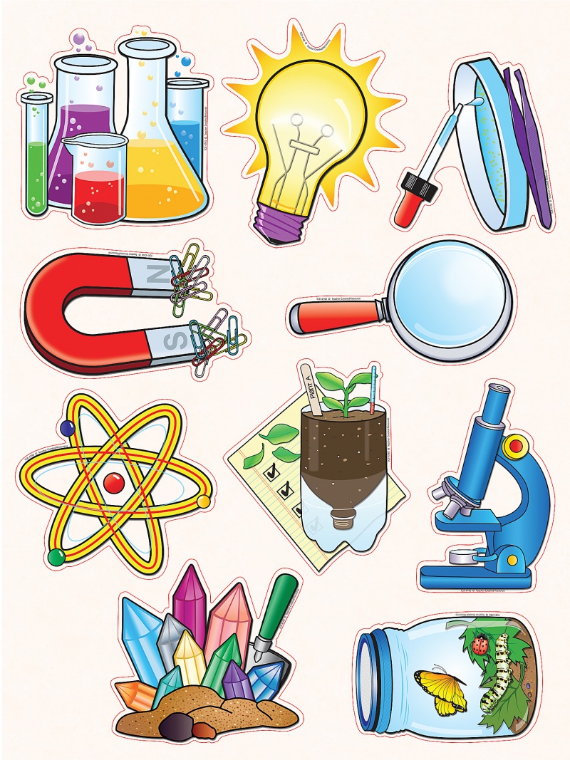Science Classroom Accents 10 Designs | STEM Decor