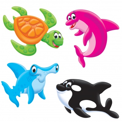 Sea Buddies Classic Accents Variety Pack