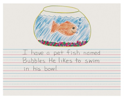 Storybook Ruled Red & Blue 8.5 X 11 1/2x1/4x1/4