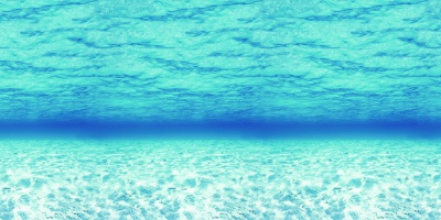 Under the Sea Fadeless Design Paper Roll 48 X 12'