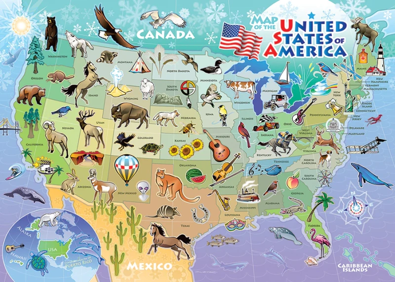 USA Map Puzzle 35 Pieces in a Tray