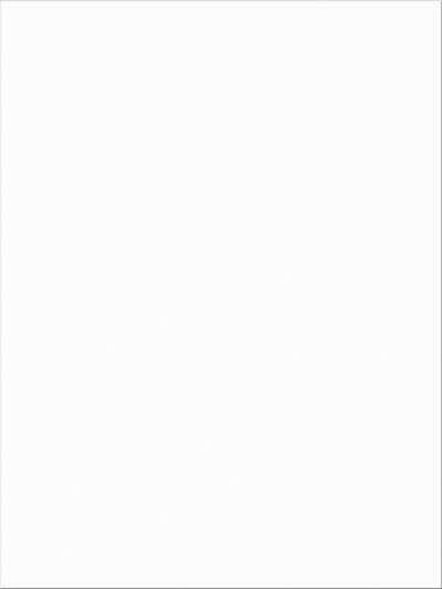 White 9 x 12 Construction Paper